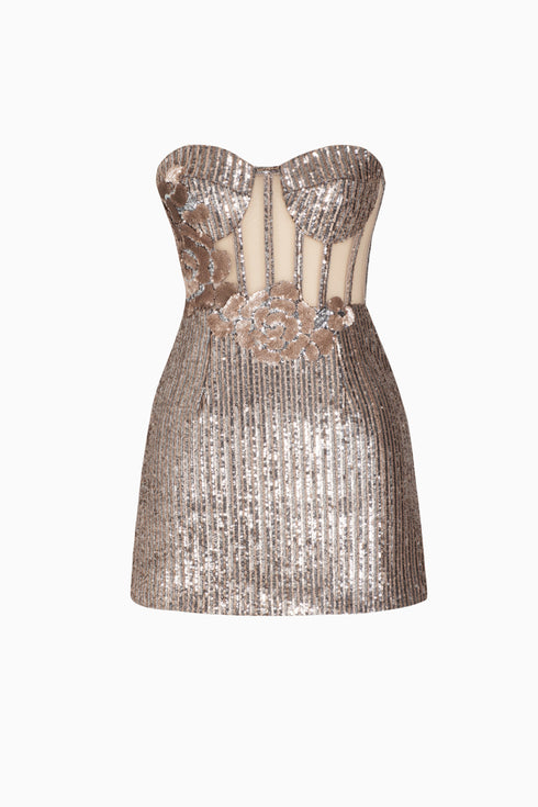 Bra Form Rose Patterned Brown Mini Dress